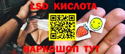 spice Кингисепп