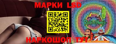spice Кингисепп