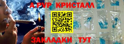 spice Кингисепп