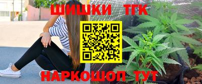 spice Кингисепп