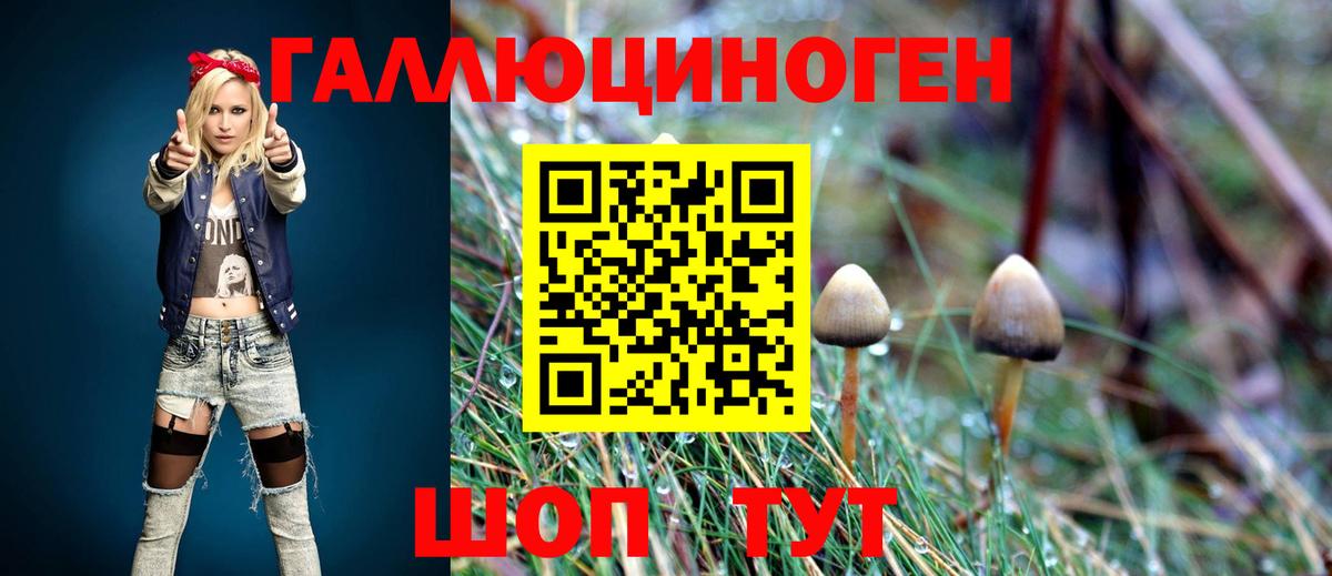 Псилоцибиновые грибы мухоморы  где купить наркотик  Кудымкар  Вход с VPN 